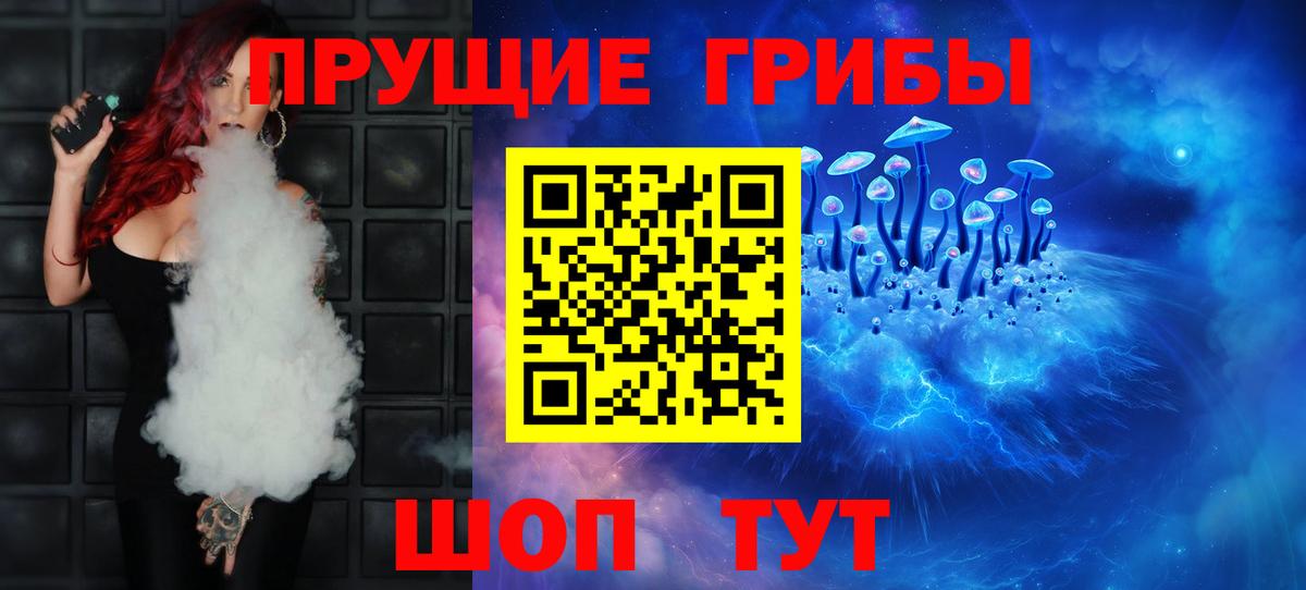 Псилоцибиновые грибы Cubensis Йошкар-Ола